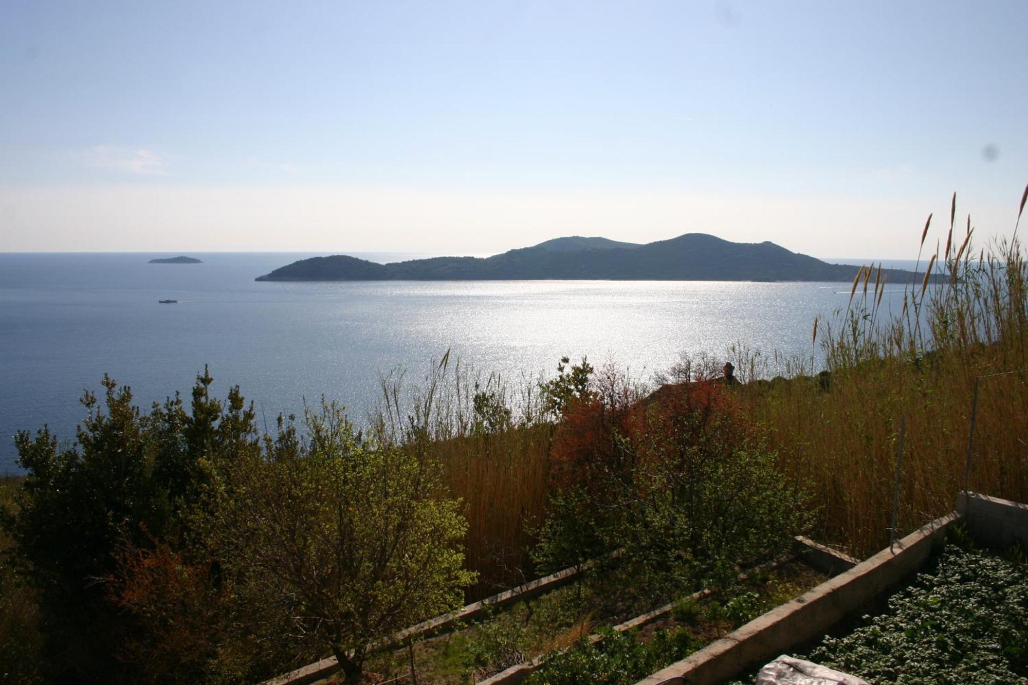 Apartments Druskovic Orašac Eksteriør billede